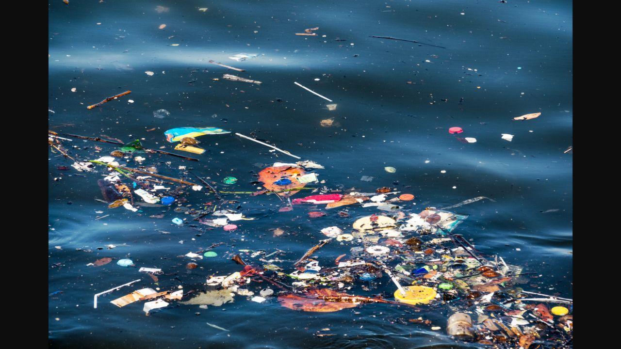 Plastic pollution makes migratory species among most vulnerable in freshwater